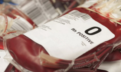 People with Blood Type O Have Higher Chance of Dying in Trauma - WORLD OF BUZZ