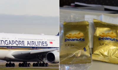 You Can No Longer Get Peanuts on SIA Flights Starting April 2018, Here's Why - WORLD OF BUZZ