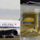 You Can No Longer Get Peanuts on SIA Flights Starting April 2018, Here's Why - WORLD OF BUZZ