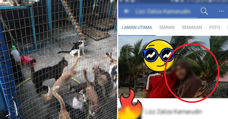 Be Careful Before You Give Your Fur Babies Away! - WORLD OF BUZZ 10