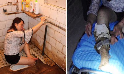 Drunk Woman Faces Crappy Situation After Getting Leg Trapped in Toilet Hole - WORLD OF BUZZ