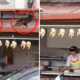 M'sians Outraged After Popular Melaka Restaurant Exposed for Displaying Chicken Meat Outdoors - WORLD OF BUZZ 3