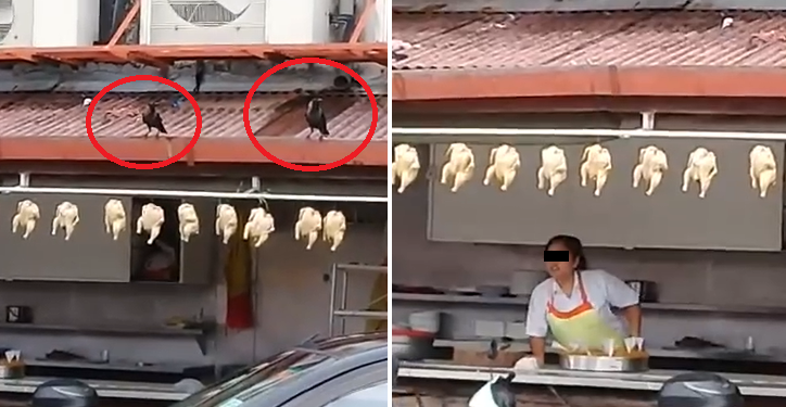 M'sians Outraged After Popular Melaka Restaurant Exposed for Displaying Chicken Meat Outdoors - WORLD OF BUZZ 3