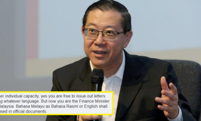 M'sians Outraged That LGE Used Mandarin in MoF Official Statement - WORLD OF BUZZ 4