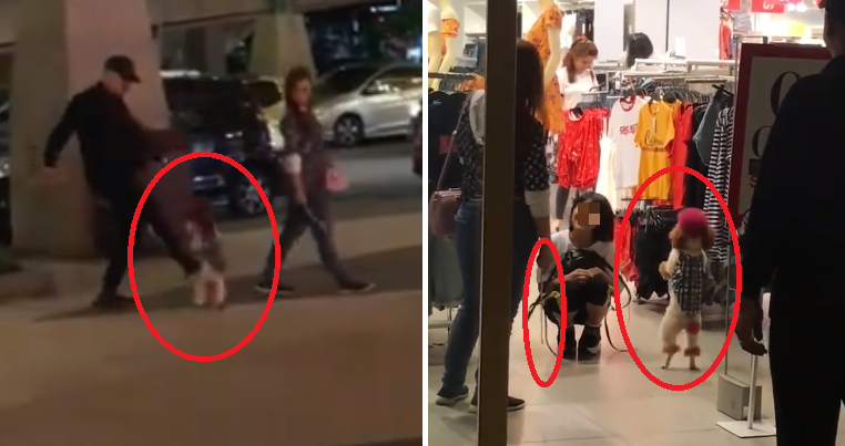 M'sians Outraged with Couple Who Tortured Their Dog Into Standing on Hind Legs At Sunway - WORLD OF BUZZ 4