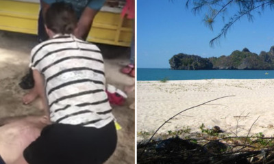 Tourist Died in Pulau Langkawi Just Minutes After Getting Stung by Jellyfish - WORLD OF BUZZ