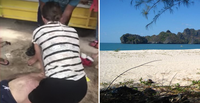 Tourist Died in Pulau Langkawi Just Minutes After Getting Stung by Jellyfish - WORLD OF BUZZ