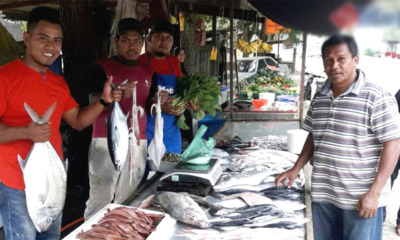 3 M'sian Brothers Earn RM4,000 Per Day By Selling Their Fish Lower than Market Price - WORLD OF BUZZ 1