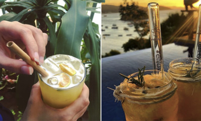 6 Alternatives to Plastic Straws With Their Pros and Cons that You Should Know About - WORLD OF BUZZ