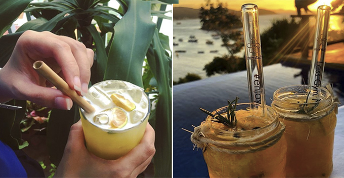 6 Alternatives to Plastic Straws With Their Pros and Cons that You Should Know About - WORLD OF BUZZ