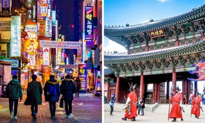 Always Wanted to Go to Korea For Free? Find Out How! - WORLD OF BUZZ