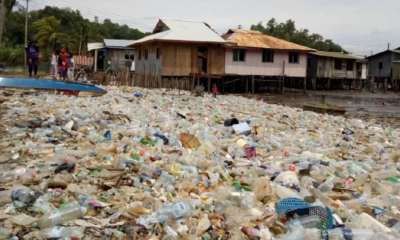 Efforts To Clean Up Gaya Island Launched - WORLD OF BUZZ 6