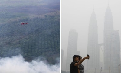 Forest Fires in Indonesia Could Bring The Haze Back to Malaysia Soon - WORLD OF BUZZ 1