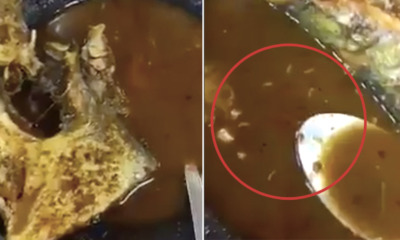 Live Maggots Found in Asam Pedas Dish, Famous Melaka Restaurant Ordered to Shut Down - WORLD OF BUZZ