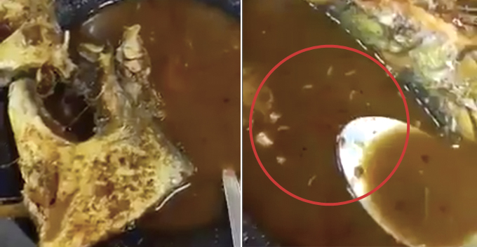Live Maggots Found in Asam Pedas Dish, Famous Melaka Restaurant Ordered to Shut Down - WORLD OF BUZZ