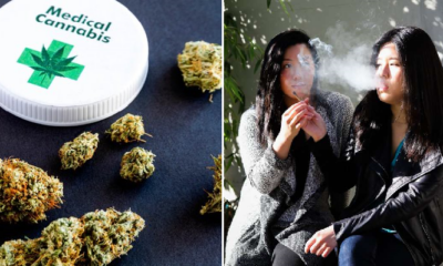 Thailand Could be First Asian Country to Legalise Medical Marijuana in 2019 - WORLD OF BUZZ 3