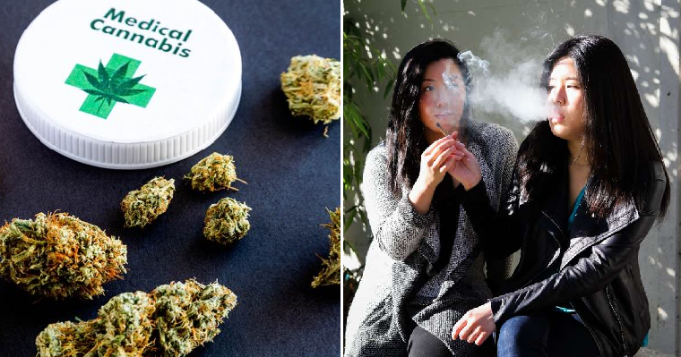 Thailand Could be First Asian Country to Legalise Medical Marijuana in 2019 - WORLD OF BUZZ 3