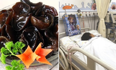 7yo Girl Suffers Multiple Organ Failure After Eating Black Fungus Soaked for 48 Hours - WORLD OF BUZZ 2