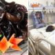 7yo Girl Suffers Multiple Organ Failure After Eating Black Fungus Soaked for 48 Hours - WORLD OF BUZZ 2