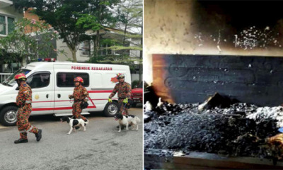 Cradle Fund CEO's Death Reclassified as Murder After Traces of Petrol Found in Bedroom - WORLD OF BUZZ