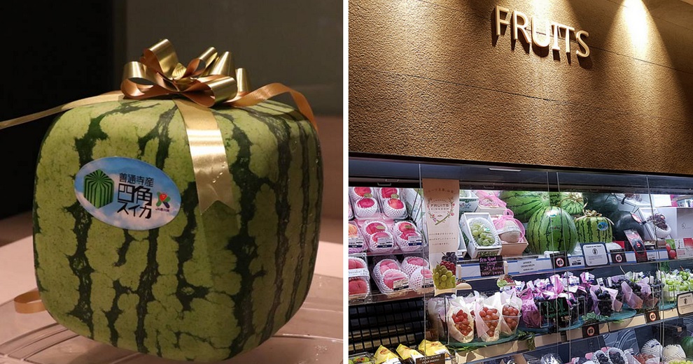 Japanese Square Watermelons Are Now Being Sold in KL, And They Cost RM2,000 EACH! - WORLD OF BUZZ 2