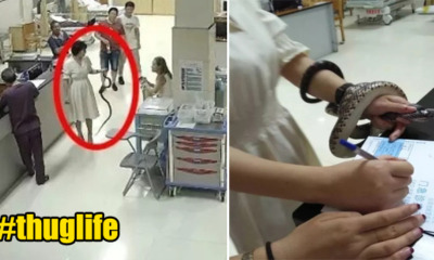 Lady Shows Up at Hospital With Live Snake Around Wrist After Getting Bitten, Doctors Stunned - WORLD OF BUZZ 1