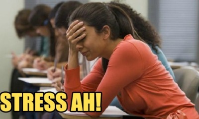 Study: Taking Less Than 3 Weeks Holiday in a Year May Shorten Your Lifespan - WORLD OF BUZZ 1