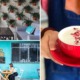 5 of Kota Kinabalu's Coolest Cafes You Should Definitely Check Out - WORLD OF BUZZ