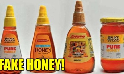 Capilano Has Been Accused of Selling Fake Honey Contaminated with Impurities from China - WORLD OF BUZZ 5