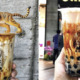 Famous Taiwanese Bubble Tea, Tiger Sugar Is Coming to Malaysia in November - WORLD OF BUZZ