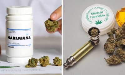 Malaysia Could Be First Country in Asia to Legalise Medical Marijuana - WORLD OF BUZZ 4