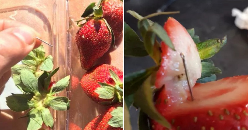 MoH Will Be Checking All Australian Strawberries For Needles Before Being Allowed into Malaysia - WORLD OF BUZZ 3