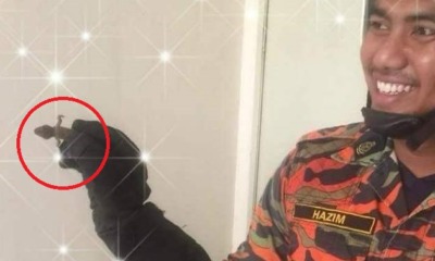 This Is What Bomba Caught in PJ Home When They Received Reports Of Huge Monitor Lizard - WORLD OF BUZZ 2