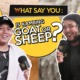 What Say You: Is 'Kambing' Goat or Sheep? - WORLD OF BUZZ