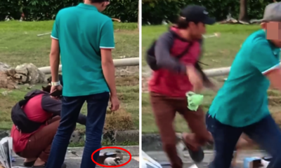Youths Try Rescuing Sleeping Puppy in Subang Parking Lot, Until They Meet Its Mother - WORLD OF BUZZ