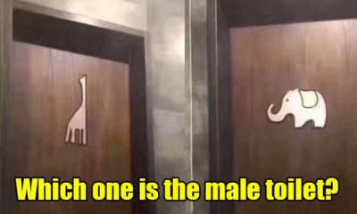 "Creative" Toilet Signs Leave Guy Confused As He Can't Figure Out Which One to Enter - WORLD OF BUZZ 2