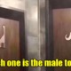 "Creative" Toilet Signs Leave Guy Confused As He Can't Figure Out Which One to Enter - WORLD OF BUZZ 2