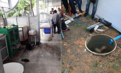 Customers Puzzled By Minced Meat In Vegetarian Restaurant, Turns Out It's Human Flesh - WORLD OF BUZZ