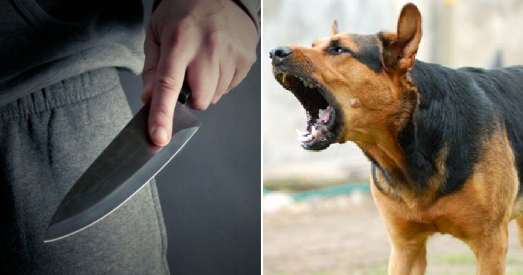 Man Kills Neighbour's Family Because Dog's Noisy Barking Was Disturbing His Sleep - WORLD OF BUZZ 3