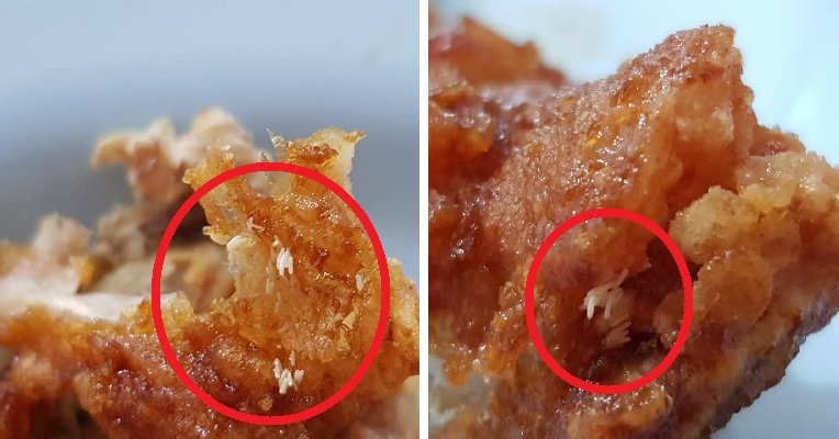 M'sian Grossed Out After Discovering Fly Eggs On Half-Eaten Korean Fried Chicken - WORLD OF BUZZ 4