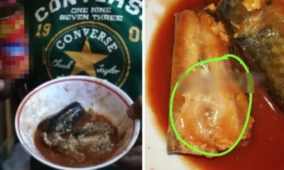 M'sian Woman Finds Worms in Locally Produced Canned Sardines Expiring in 2021 - WORLD OF BUZZ 3