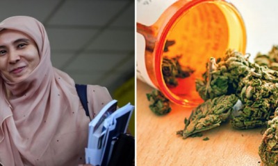 Nurul Izzah: We're Working on A Proposed Law to Decriminalise Medical Marijuana - WORLD OF BUZZ