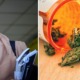 Nurul Izzah: We're Working on A Proposed Law to Decriminalise Medical Marijuana - WORLD OF BUZZ