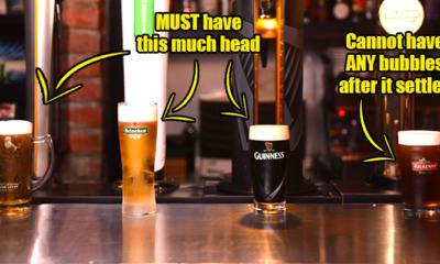 [TEST] We Asked A Draught Master For Tips on How M'sians Can Tell a Good Beer From a Bad One - WORLD OF BUZZ 7