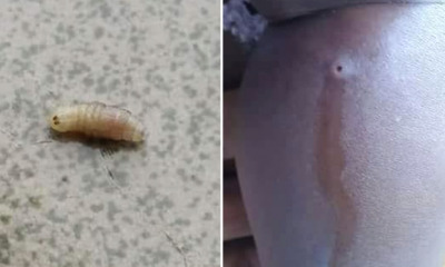 Mother Shocking - WORLD OF BUZZ