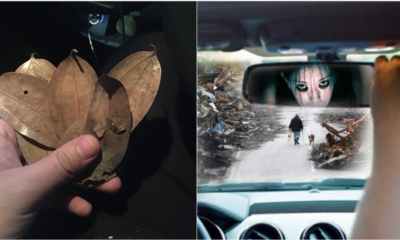 Cash Turned Into Leaves - WORLD OF BUZZ 3