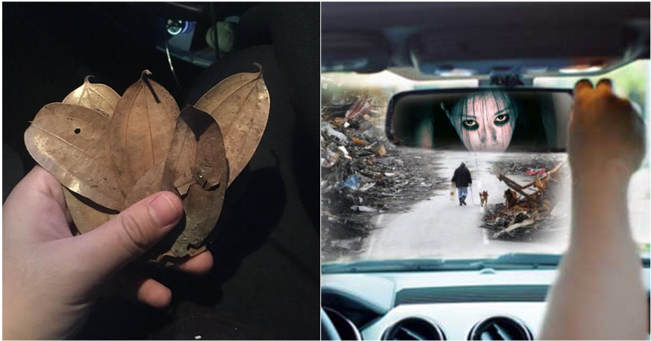 Cash Turned Into Leaves - WORLD OF BUZZ 3