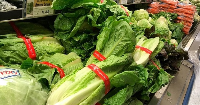 MOH Warning: Romaine Lettuce Imported From U.S. Contaminated With E. Coli Bacteria - WORLD OF BUZZ 3