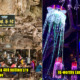 No Plans This Year-End? Here's 8 Reasons to Check Out Sunway Lost World of Tambun! - WORLD OF BUZZ