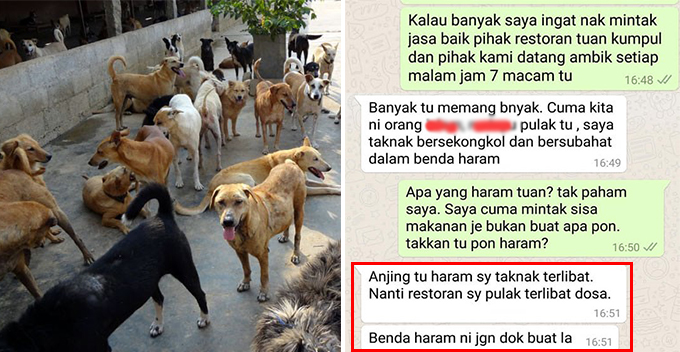 Restaurant Owner Refuses to Give Leftover Bones to Animal NGO Because Dogs Are Haram - WORLD OF BUZZ 1